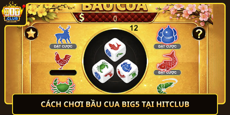 Cach Choi Bau Cua Big5 Tai Hitclub