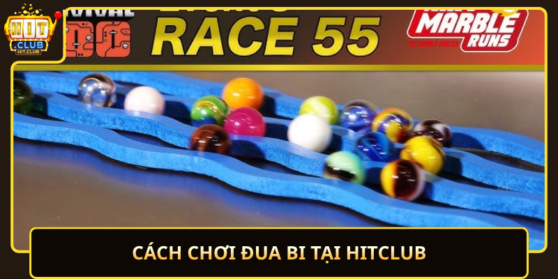 Cach Choi Dua Bi Tai Hitclub