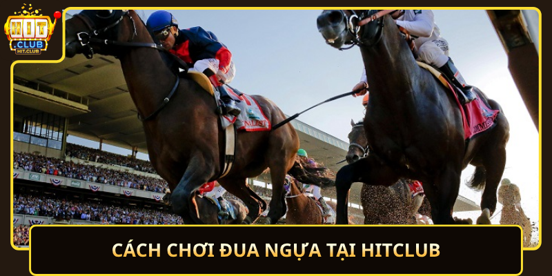 Đua Ngựa HitClub – Sôi Động, Đầy Cuốn Hút 2 Cach Choi Dua Ngua Tai Hitclub