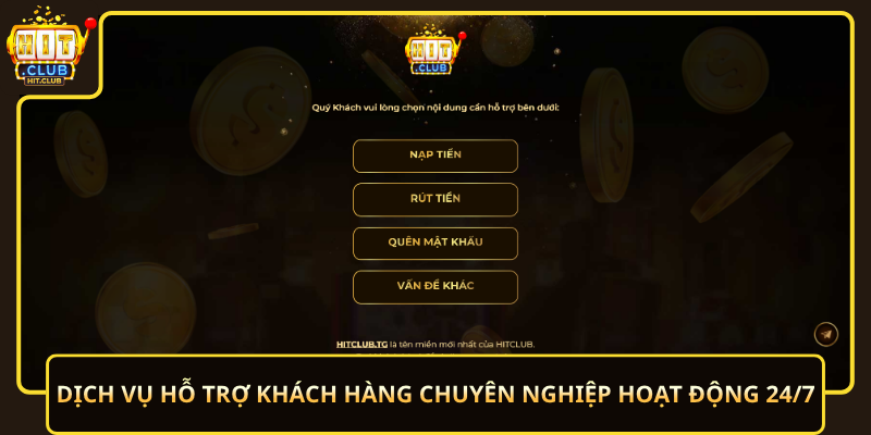 Dich Vu Ho Tro Khach Hang Chuyen Nghiep Hoat Dong 24 7