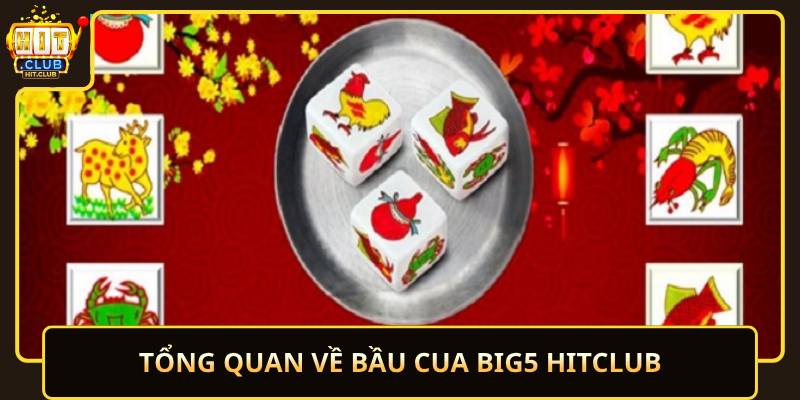 Tong Quan Ve Bau Cua Big5 Hitclub