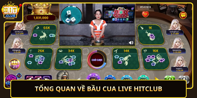 Bầu Cua Live HitClub – Trực Tiếp Sinh Động 1 Tong Quan Ve Bau Cua Live Hitclub