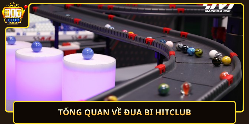 Tong Quan Ve Dua Bi Hitclub