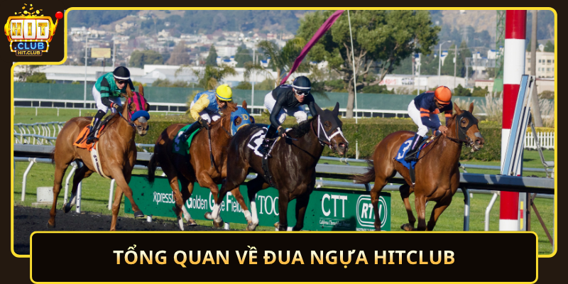 Đua Ngựa HitClub – Sôi Động, Đầy Cuốn Hút 1 Tong Quan Ve Dua Ngua Hitclub