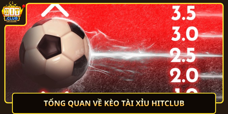Tong Quan Ve Keo Tai Xiu Hitclub