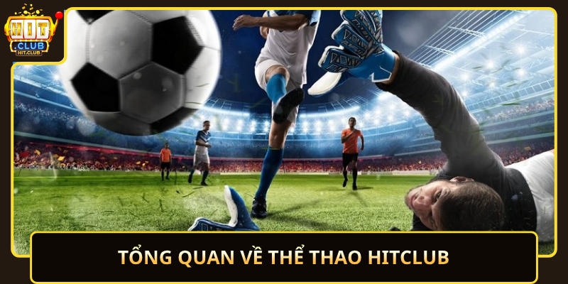 Thể Thao HitClub Đi Kèo Đa Dạng Và Hồi Hộp Mỗi Ngày 1 Tong Quan Ve The Thao Hitclub